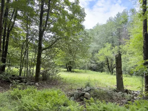 0 John Ford Rd, Ashfield, MA 01330