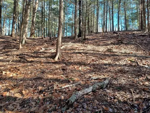 296 Northwest Rd, Westhampton, MA 01027