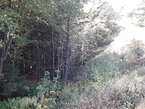 296 Northwest Rd, Westhampton, MA 01027 photo 6