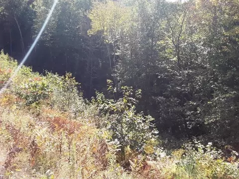 296 Northwest Rd, Westhampton, MA 01027 photo 4