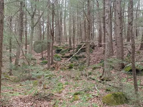 296 Northwest Rd, Westhampton, MA 01027 photo 3