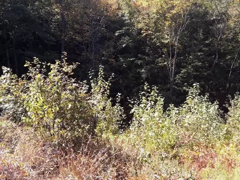 296 Northwest Rd, Westhampton, MA 01027 photo 5