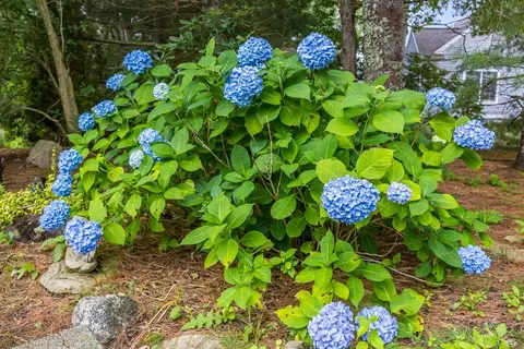 30 Windsor Pt, Mashpee, MA 02649 photo 5