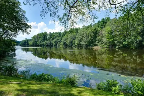 View/Area - 9 Stonecleve Rd, Wellesley, MA 02482 photo 1 of 8