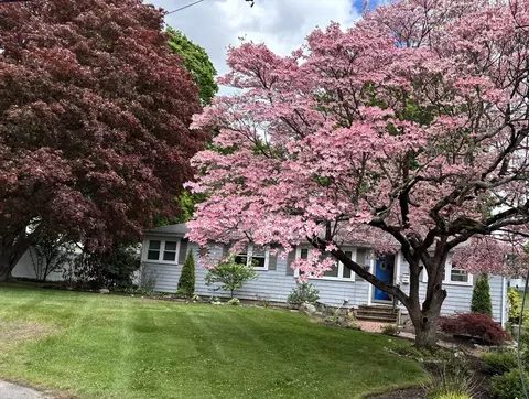 Exterior - 200 Edgewater Dr, Framingham, MA 01702 photo 3 of 9