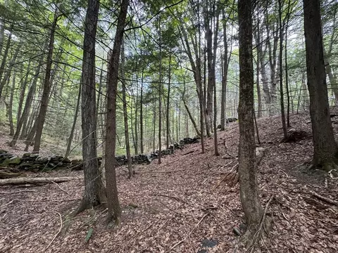 0 North St, Whately, MA 01093