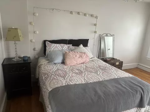 53 Bronson Ter, Springfield, MA 01108 photo 22