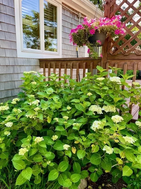 1 Sandy Ln, Bourne, MA 02532 photo 32