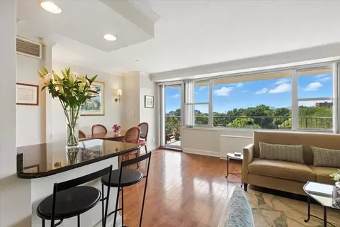 151 Tremont St #7N, Boston, MA 02111
