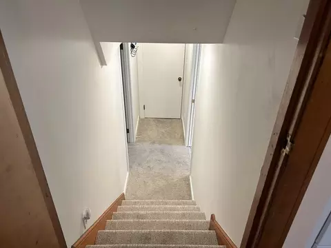 27 Eleanor St, Dedham, MA 02026 photo 24