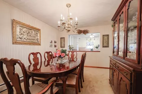 254 Pilgrim Ave, Worcester, MA 01604 photo 20