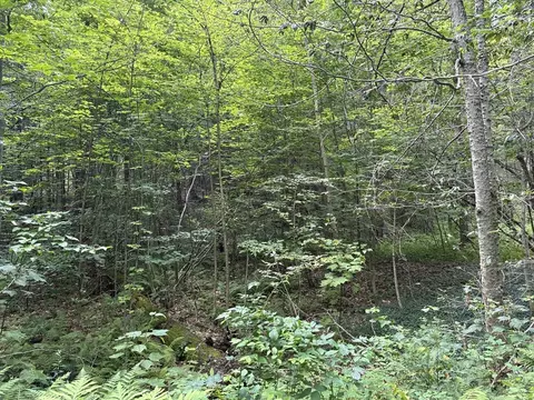 139 Taylor Brook Rd, Heath, MA 01346