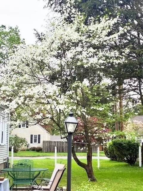 90 Roanoke Rd, Springfield, MA 01118 photo 4