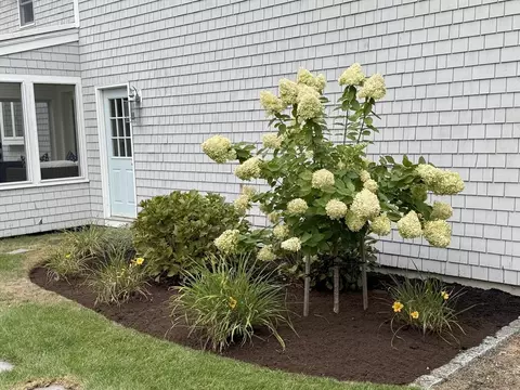 Exterior - 12 Paddocks Path, Dennis, MA 02638 photo 5 of 7