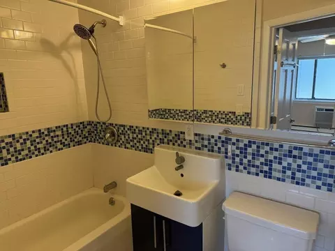 Bath - 170 E Hadley Rd #80, Amherst, MA 01002 photo 2 of 3