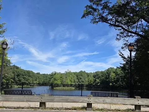 41 Nevada St, Springfield, MA 01107 photo 30