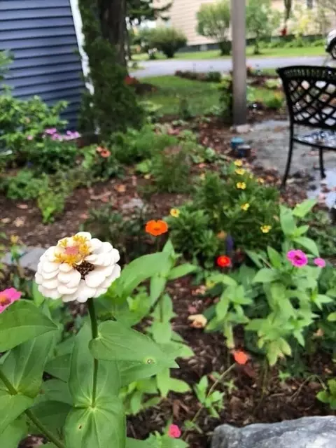 38 Clark St, Easthampton, MA 01027 photo 36