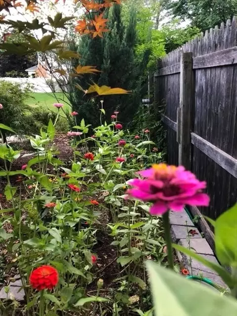 38 Clark St, Easthampton, MA 01027 photo 38
