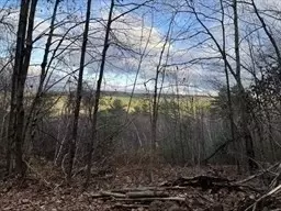 lot5 Brimfield Rd, Warren, MA 01083