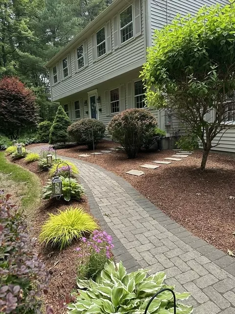 7 Carl Rd, Walpole, MA 02081 photo 3