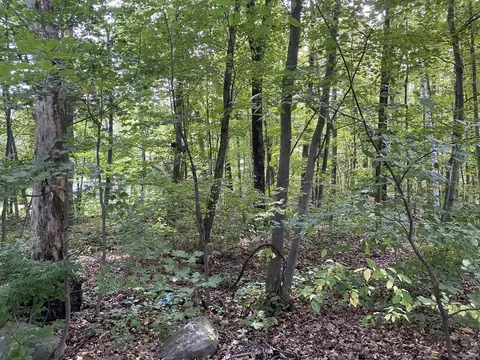 53 Fourth St, Dracut, MA 01826 photo 3