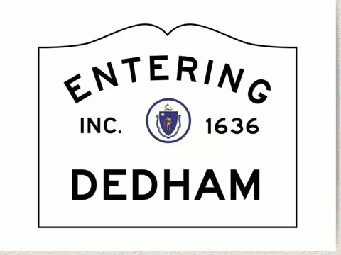 10 Crowley Ave, Dedham, MA 02026 photo 31