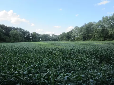 0 Little River Rd, Westfield, MA 01085