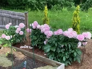 60 Southgate Rd, Franklin, MA 02038 photo 35