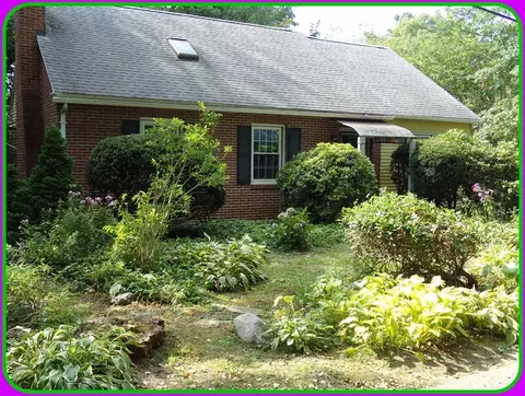 12 Moorland St, Amherst, MA 01002