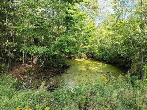 Other - 215 Colburn Rd, Temple, NH 03084 photo 6 of 6
