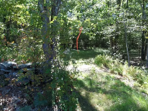 0 Stage Rd, Chesterfield, MA 01012