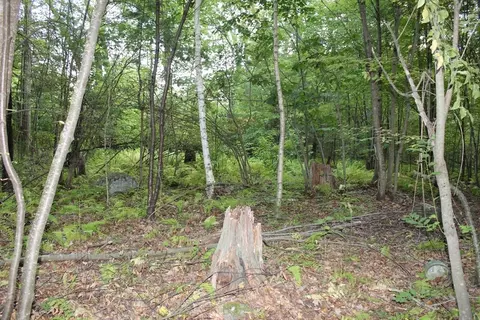 lot40 Osborne Rd, Ware, MA 01082 photo 4