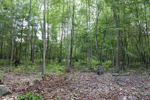 lot40 Osborne Rd, Ware, MA 01082 photo 3