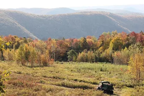 8 Thayer Rd, Monroe, MA 01350