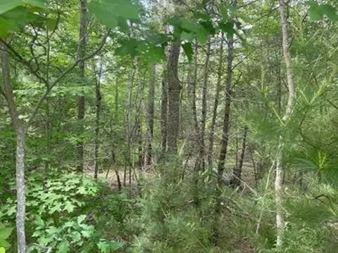 170 Elm St, Hanson, MA 02341