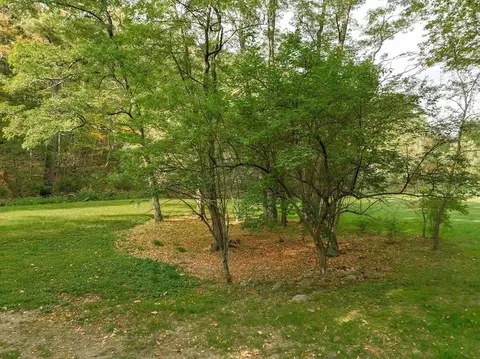 79 Goddard Ave, Brookline, MA 02445 photo 11