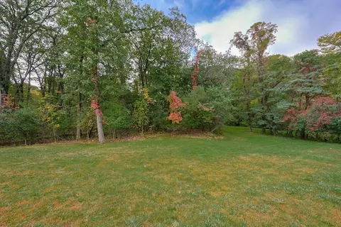 79 Goddard Ave, Brookline, MA 02445 photo 17