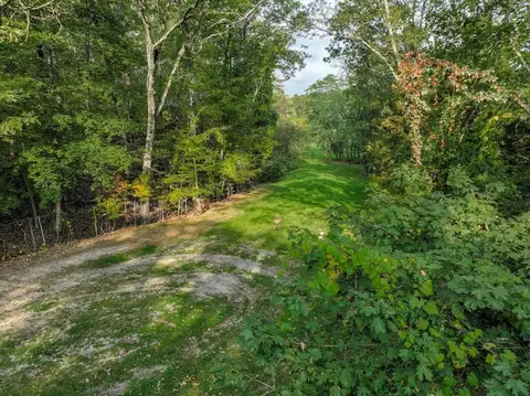 79 Goddard Ave, Brookline, MA 02445 photo 5