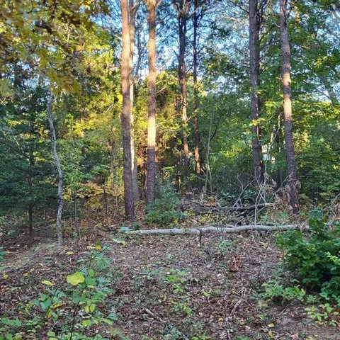 10 Tecumseh Rd, Bourne, MA 02562 photo 3