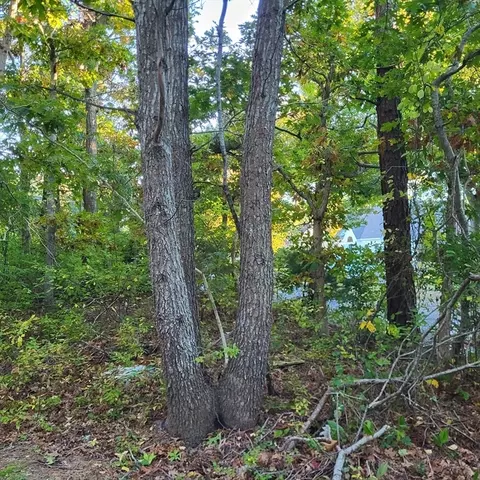 10 Tecumseh Rd, Bourne, MA 02562 photo 5
