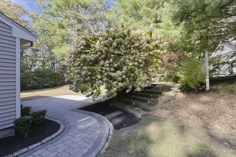 28 Forest Rd, Millis, MA 02054 photo 15