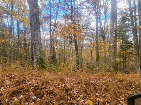 lot20 Parish Rd, Worthington, MA 01098