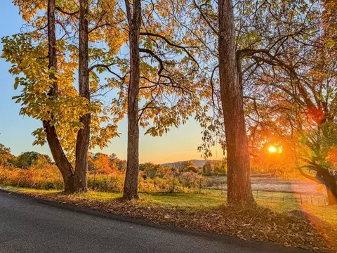 90 S Mountain Rd, Northfield, MA 01360