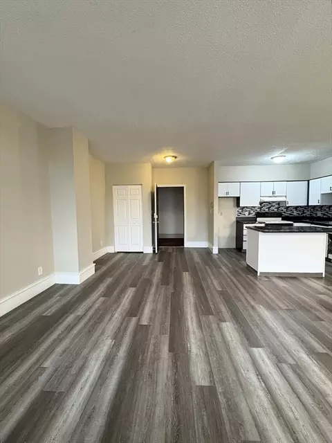 140 Chestnut St #204, Springfield, MA 01103 photo 3