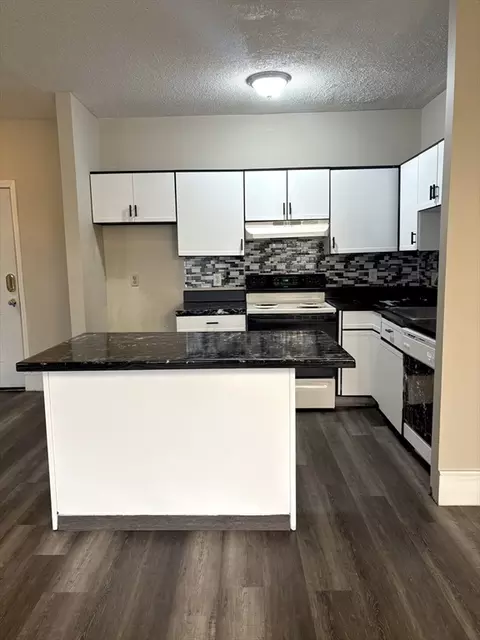 140 Chestnut St #204, Springfield, MA 01103 photo 4