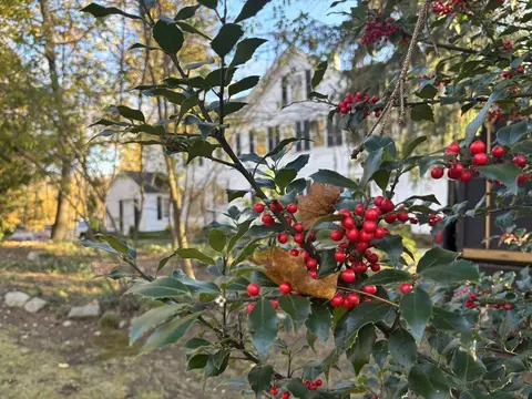 Exterior - 12 Spring St, Foxboro, MA 02035 photo 15 of 15