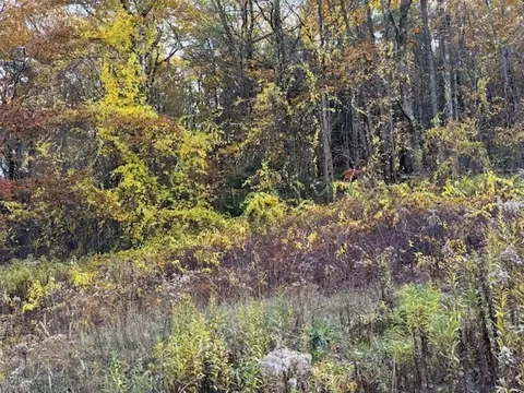 151 Wilker Rd, Ashburnham, MA 01430 photo 3