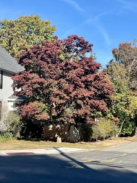 556 Webster St, Needham, MA 02494 photo 4