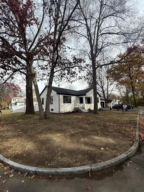 181 Freeman Ter, Springfield, MA 01104 photo 4