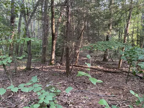 lot B Brimfield Rd, Monson, MA 01057